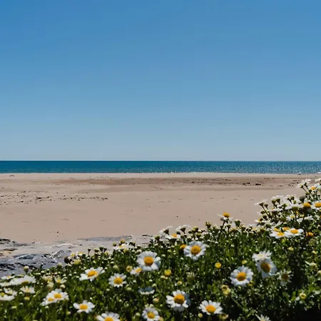 Villa 3 Pièces, 5 Couchages, Narbonne-plage, Animaux Admis - Fr-1-409-102 Narbonne-Plage