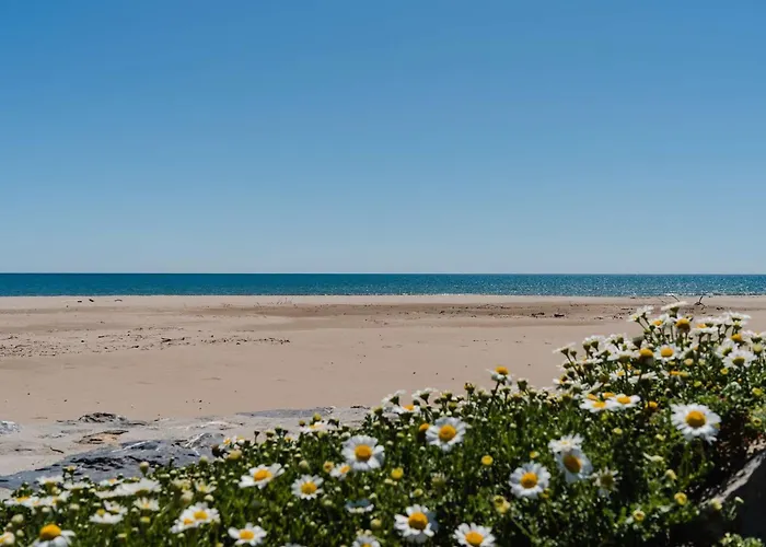 Villa 3 Pieces, 5 Couchages, Narbonne-plage, Animaux Admis - Fr-1-409-102 Narbonne-Plage